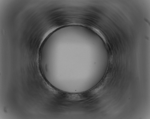 X0000092251149200710121254