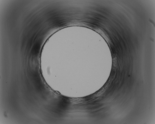 X0000092251150200710121254