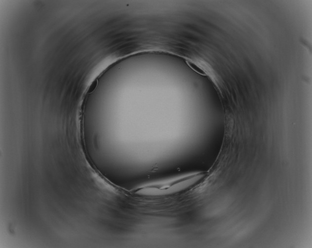 X0000092251151200710121254