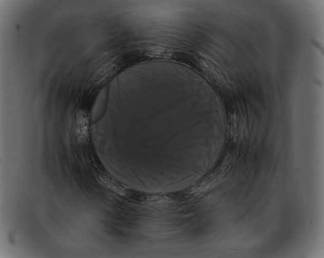 X0000092251154200710121253