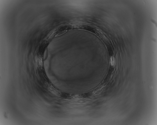 X0000092251155200710121253