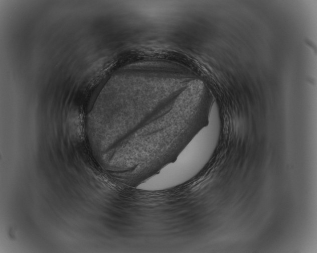 X0000092251156200710121253