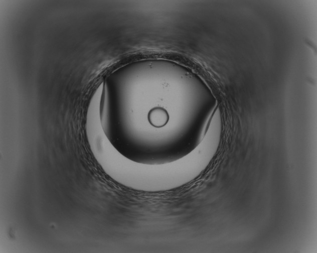 X0000092251157200710121253