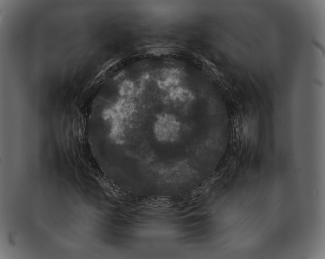X0000092251158200710121253