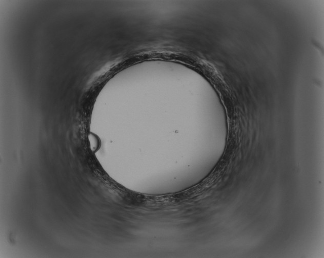 X0000092251159200710121253