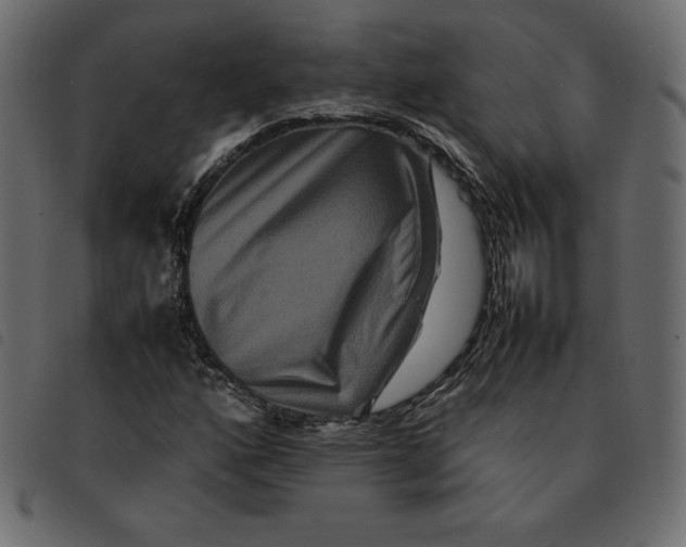 X0000092251160200710121253