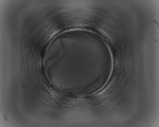 X0000092251161200710121253