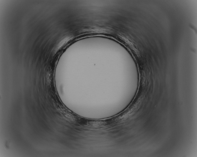 X0000092251163200710121253