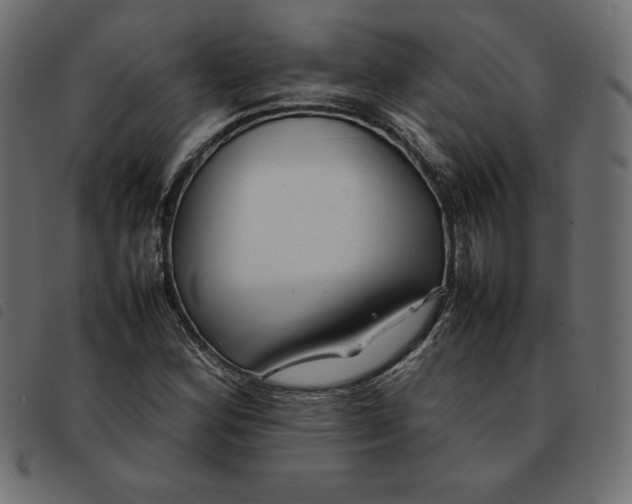 X0000092251164200710121253