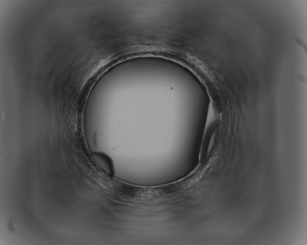 X0000092251165200710121253