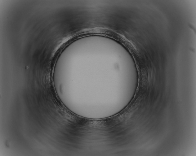 X0000092251166200710121253