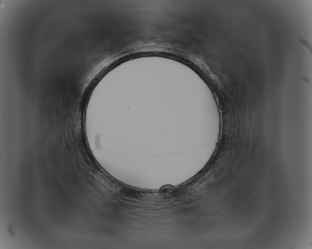 X0000092251167200710121253