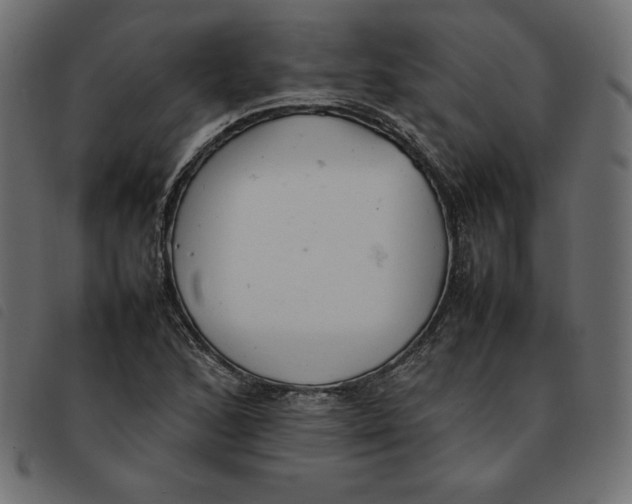 X0000092251168200710121253