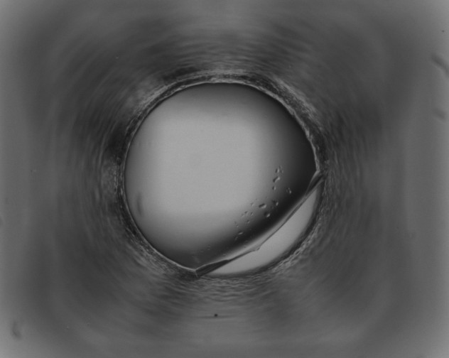 X0000092251169200710121253