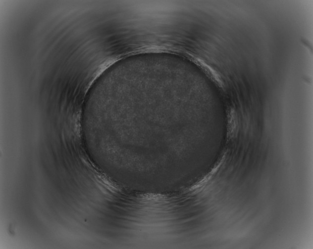 X0000092251170200710121253