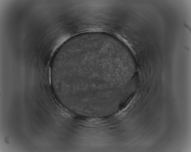 X0000092251171200710121253