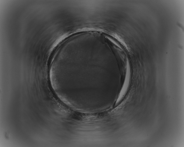 X0000092251173200710121253