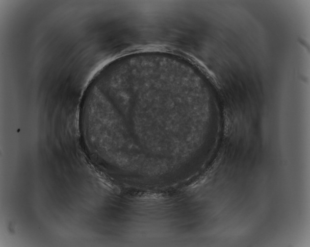 X0000092251174200710121253