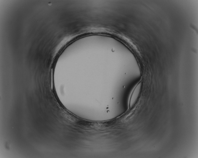 X0000092251175200710121253