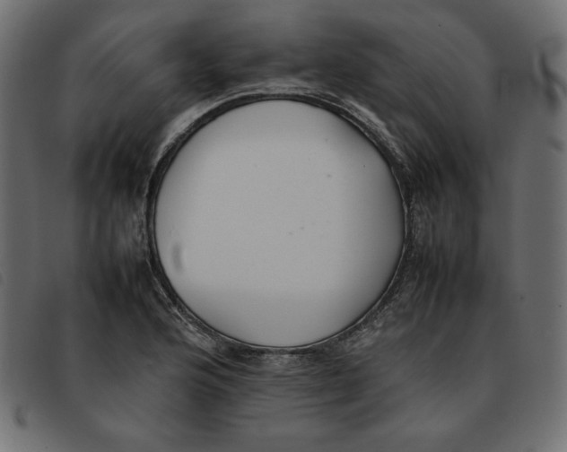 X0000092251176200710121253