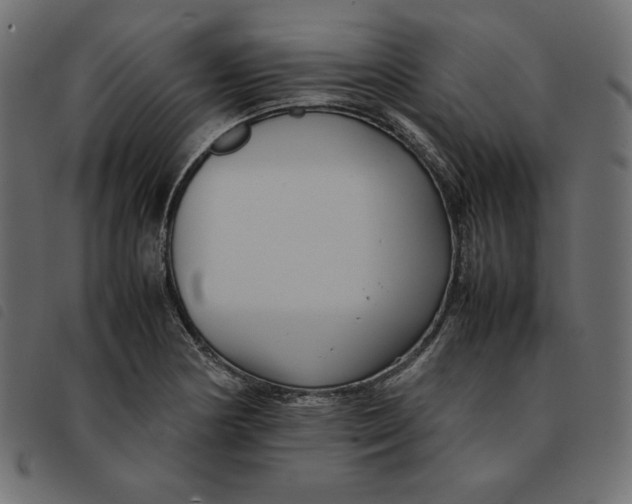 X0000092251178200710121253