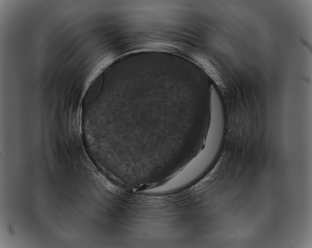 X0000092251180200710121253