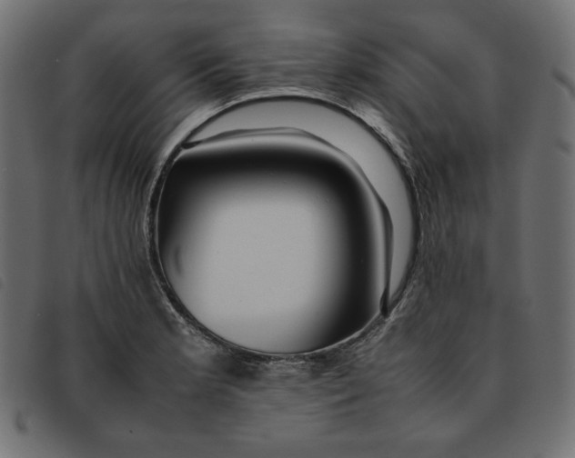 X0000092251181200710121253