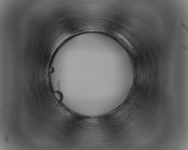 X0000092251182200710121253