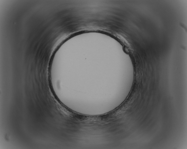 X0000092251183200710121253