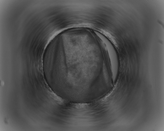 X0000092251184200710121253
