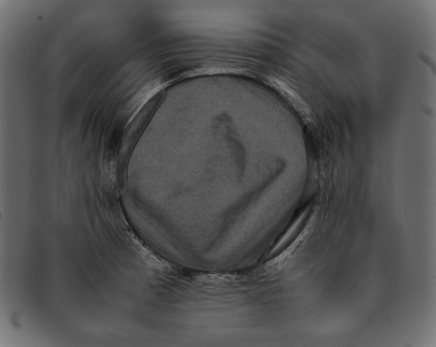 X0000092251185200710121253