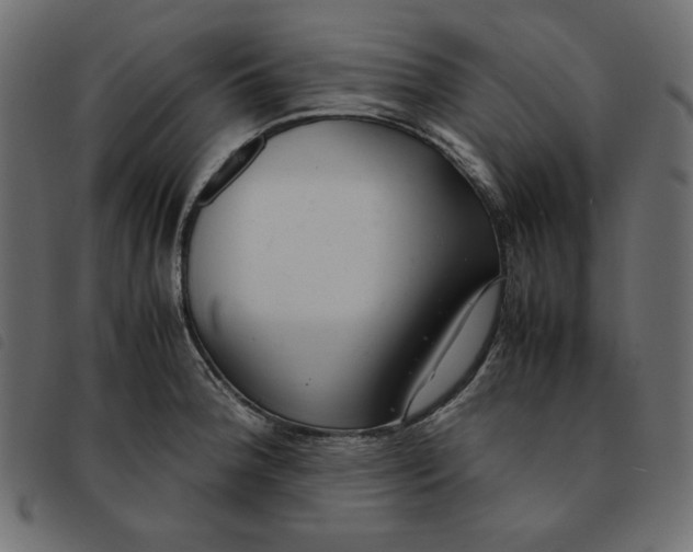 X0000092251188200710121252