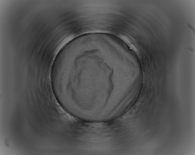 X0000092251189200710121252