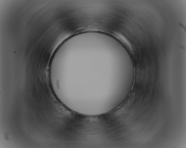X0000092251190200710121252