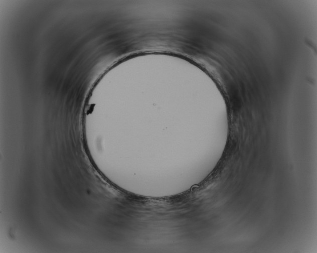 X0000092251191200710121252