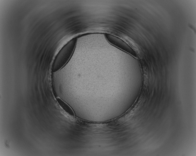 X0000092251192200710121252