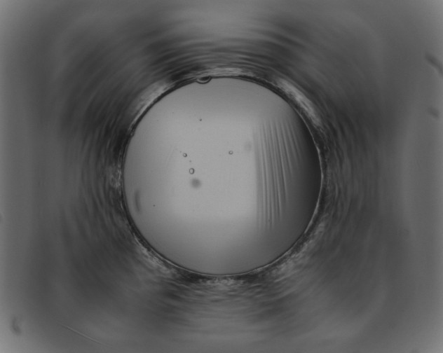 X0000092251193200710121252