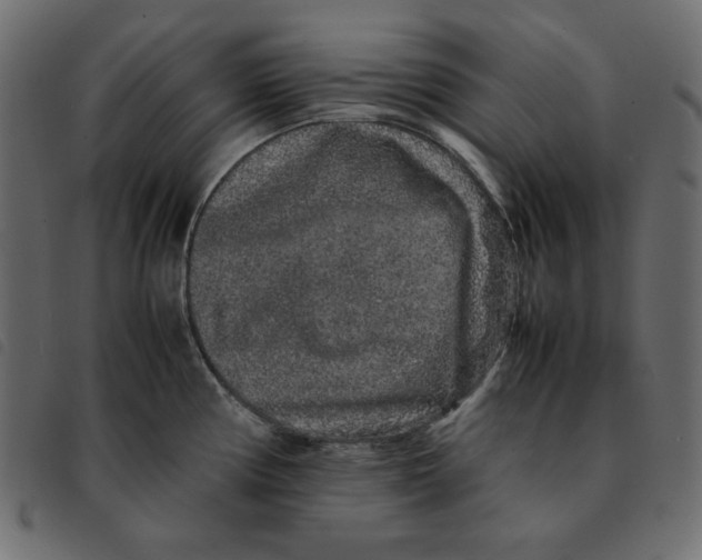 X0000092251194200710121252