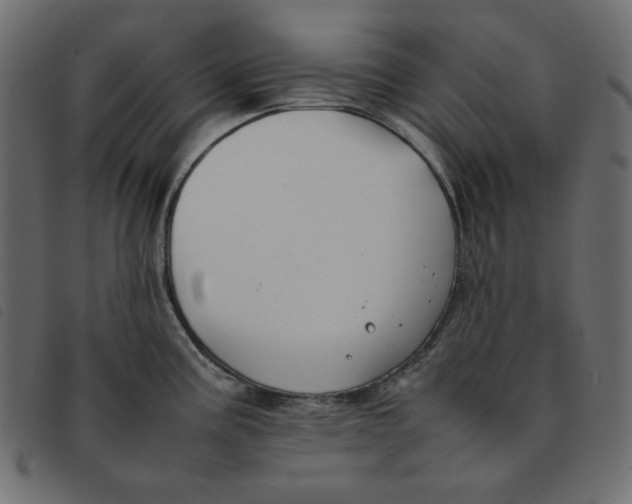 X0000092251195200710121252