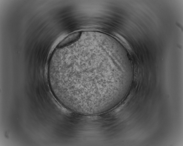 X0000092251196200710121252