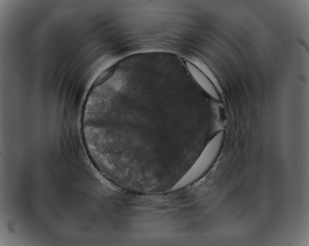 X0000092251197200710121252