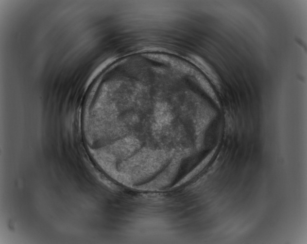 X0000092251198200710121252
