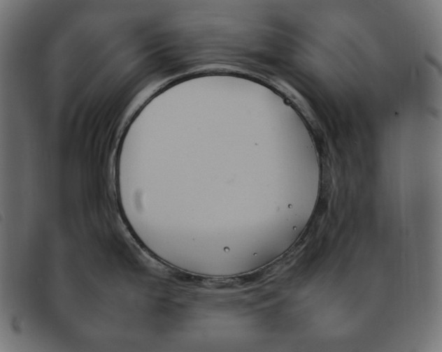 X0000092251199200710121252
