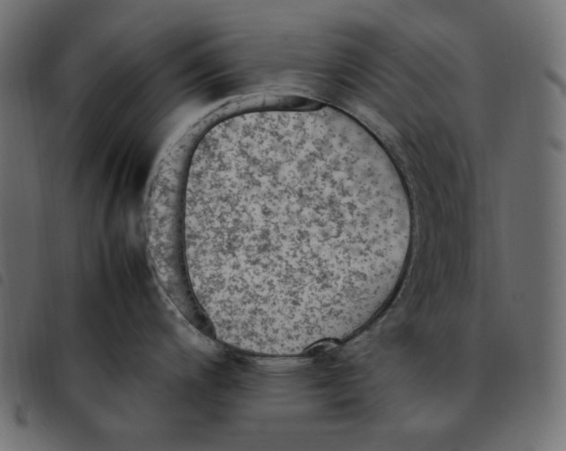 X0000092251200200710121252