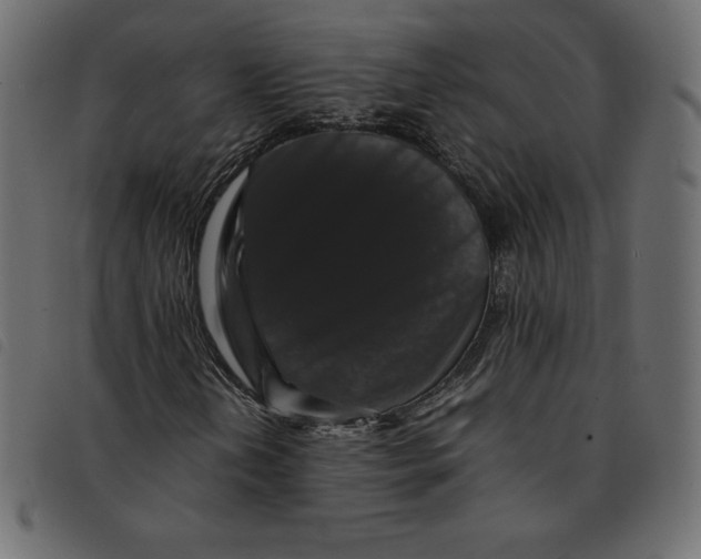 X0000092251202200710121252