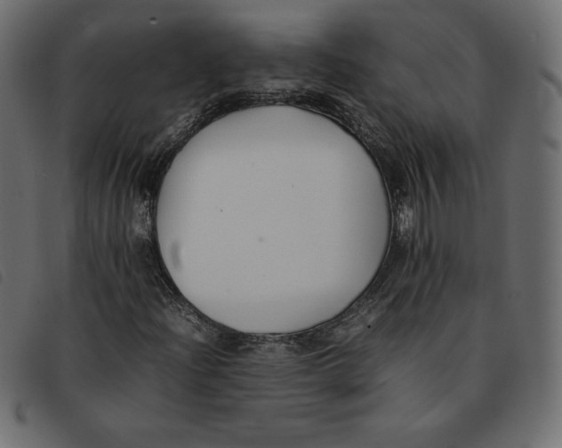 X0000092251204200710121252