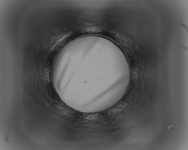 X0000092251205200710121252