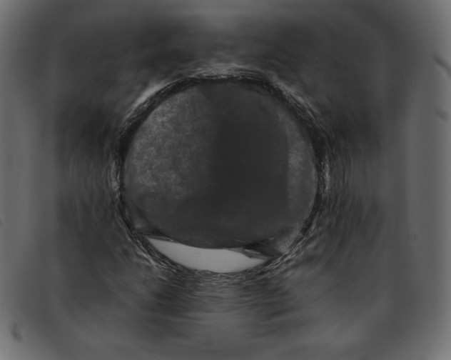 X0000092251206200710121252