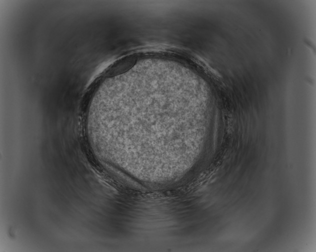 X0000092251208200710121252