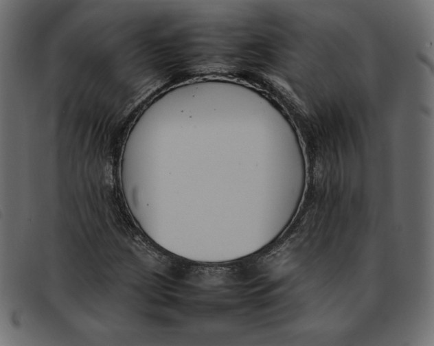X0000092251209200710121252